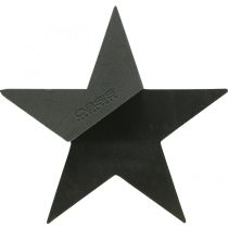 kategória Kvetinová pena čierna