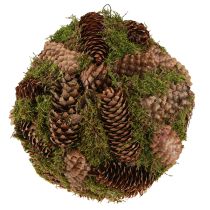 kategória Gule z pasienky