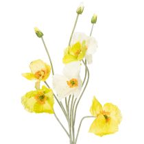 kategória Záhradný kvet a lúčny kvet