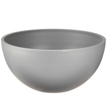 kategória Sadenice plastové