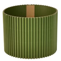 kategória Balenie na kvetinu