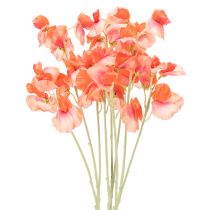 kategória Záhradný kvet a lúčny kvet