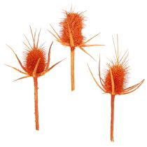 kategória Konáre, palice a vetvičky