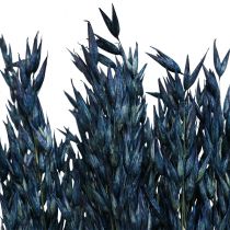 položky Sušené kvety, ovos sušené zrno dekorácia modrá 68cm 230g