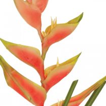 položky Umelé kvety Heliconia exotické ružové, zelené V103cm