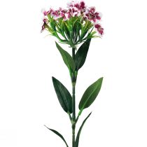 položky Karafiát fúzatý Umelý kvet Fialovo Biely Karafiát 52cm