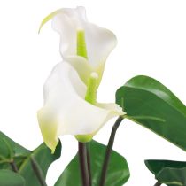 položky Calla Lily Kalla umelé kvety Biele exotické kvety 34cm