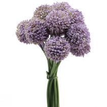 položky Umelé kvety guľový kvet allium umelá fialová 25cm 12ks