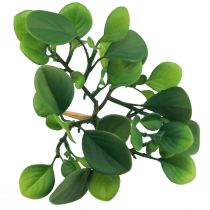 položky Umelá zelená rastlina sukulentná umelá zelená H14cm