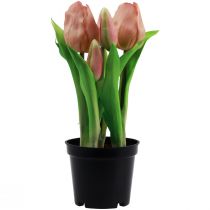 položky Umelé tulipány v kvetináči Tulipány Broskyňové umelé kvety 22cm