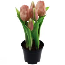 položky Umelé tulipány v kvetináči Tulipány Broskyňové umelé kvety 22cm
