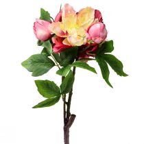položky Pivonky Hodvábne kvety Umelé kvety Ružová Ružová 68cm
