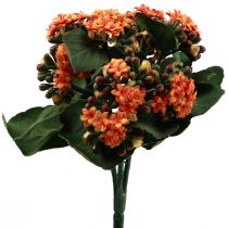 položky Flaming Käthchen Kalanchoe umelý pomaranč 24cm