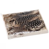 položky Ozdobný prívesok pierko drevené prírodné pierko 9,5/10cm 9 ks