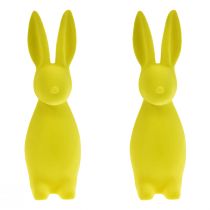 položky Flocked Easter Bunnies Žlto-zelený – 2. výber – 8×10×29cm 2 ks