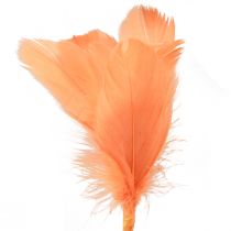 položky Ozdobné pierka oranžové vtáčie pierka na palici 36cm 12ks