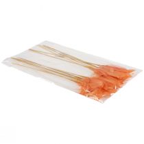 položky Ozdobné pierka oranžové vtáčie pierka na palici 36cm 12 ks