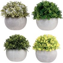 položky Umelé rastliny Umelé buxus 12,5cm×Ø12cm 4ks