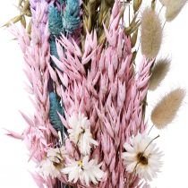 položky Sušená kytica slamené kvety Phalaris grain 58cm