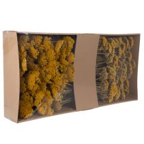 Článok Sušené kvety rebríčka žltého Achillea Natur Gelb 1kg