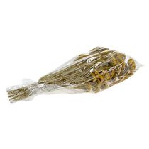 položky Achillea 1kg prírodná