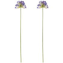 položky Agapanthus African Lily Umelé kvety Fialová L75cm 2ks