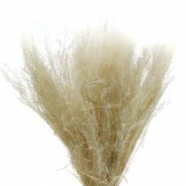 položky Suchá tráva Agrostis bielená 40g