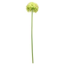položky Allium zelený kvet umelá okrasná cibuľa Ø18cm 90cm