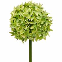 položky Okrasné allium, hodvábny kvet, umelá cibuľka zelená Ø20cm L72cm