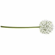 položky Dekoračný kvet allium, umelý guľatý pór, okrasný pór biely Ø20cm L72cm