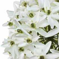 položky Dekoračný kvet allium, umelý guľatý pór, okrasný pór biely Ø20cm L72cm