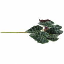 položky Alocasia šípka listová zelená, fialová umelá rastlina V48cm