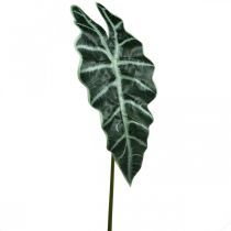 položky Umelý list šípu umelá rastlina alocasia deco zelená 74cm