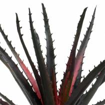 položky Aloe Vera umelá fialová 26cm