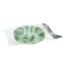 položky Hliníkový drôt 2 mm 500 g, 60 m mätovozelený - remeselný drôt na dekorácie, floristiku a modelárstvo