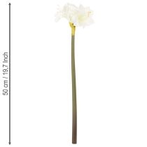 položky Umelý kvet amarylis, biely, so stonkou, adventný a vianočný, 50 cm