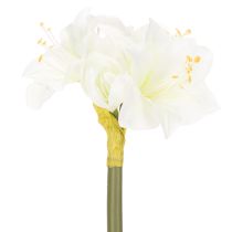 položky Umelý kvet amarylis, biely, so stonkou, adventný a vianočný, 50 cm