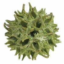 položky Sweetgum šišky zelené matné 250g
