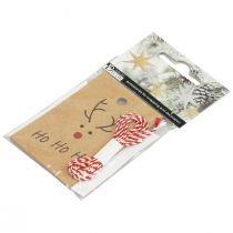 položky Vianočný prívesok na výrobu sobov 5,5x8,5cm 4ks