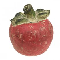 položky Dekoračné jablko, jeseň, dekorácia na stôl, betón V17cm Ø15cm