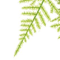 položky Umelá špargľa ako závesná rastlina pre nenáročnú dekoráciu domu, 75 cm