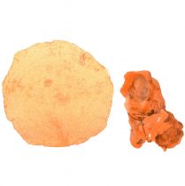 položky Plátky ustrice capiz v sieťke oranžová 3,5–9,5 cm 2ks