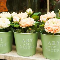 položky Kvetináč zinková mätová zelená Ø15cm V13,5cm