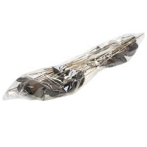 položky Badam na palici natural 6cm - 12cm 23 ks