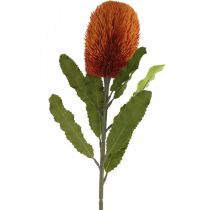 položky Umelý kvet Banksia Orange Jesenná dekorácia smútočné kvety 64cm