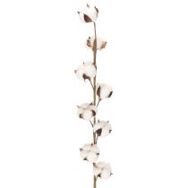 Článok Umelá bavlnená vetvička s 8 skutočnými kvetmi, 78 cm
