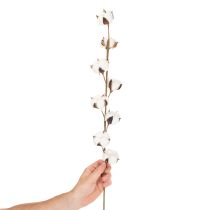 Článok Umelá bavlnená vetvička s 8 skutočnými kvetmi, 78 cm
