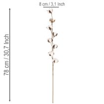 Článok Umelá bavlnená vetvička s 8 skutočnými kvetmi, 78 cm