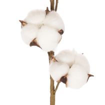 Článok Umelá bavlnená vetvička s 8 skutočnými kvetmi, 78 cm