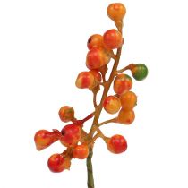 položky Zväzok oranžových plodov L20cm